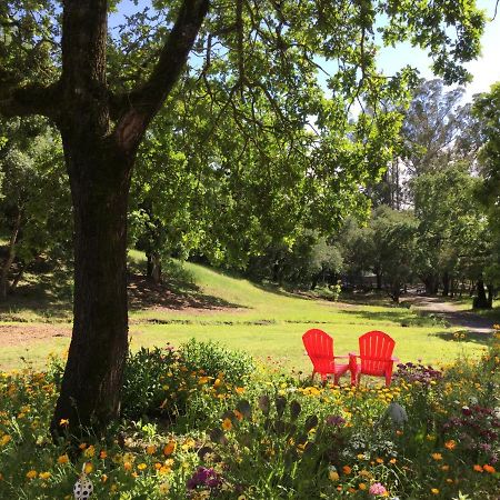 Amitabha Wine Country Cottage Santa Rosa Dış mekan fotoğraf