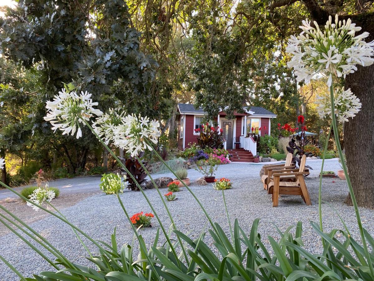 Amitabha Wine Country Cottage Santa Rosa Dış mekan fotoğraf