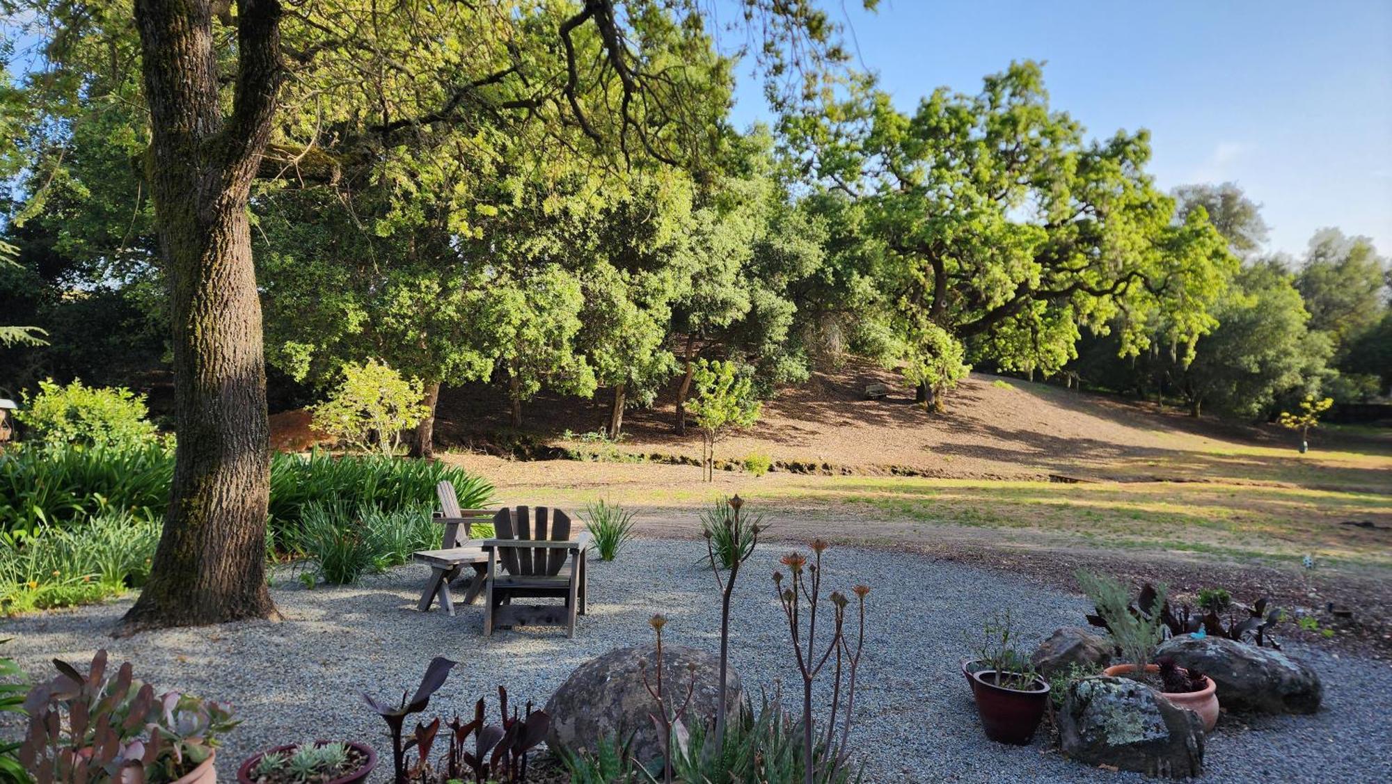 Amitabha Wine Country Cottage Santa Rosa Dış mekan fotoğraf